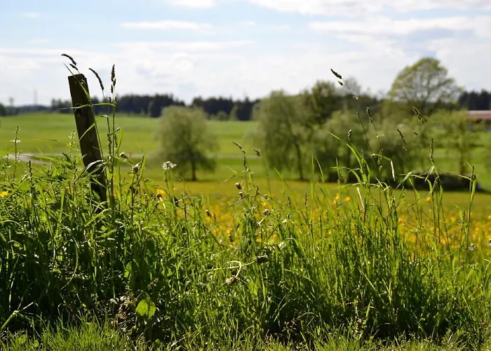 Tannenhof Epple Opfenbach